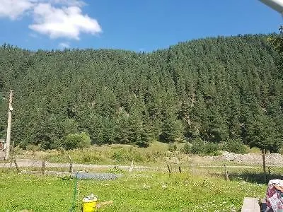 Гостевой дом Пашовата Къща *